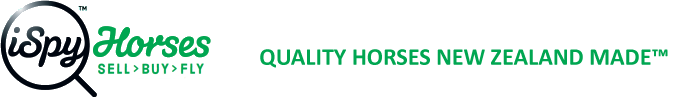 Quality Horses New Zealand Made