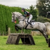 Horse image