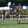 Horse image