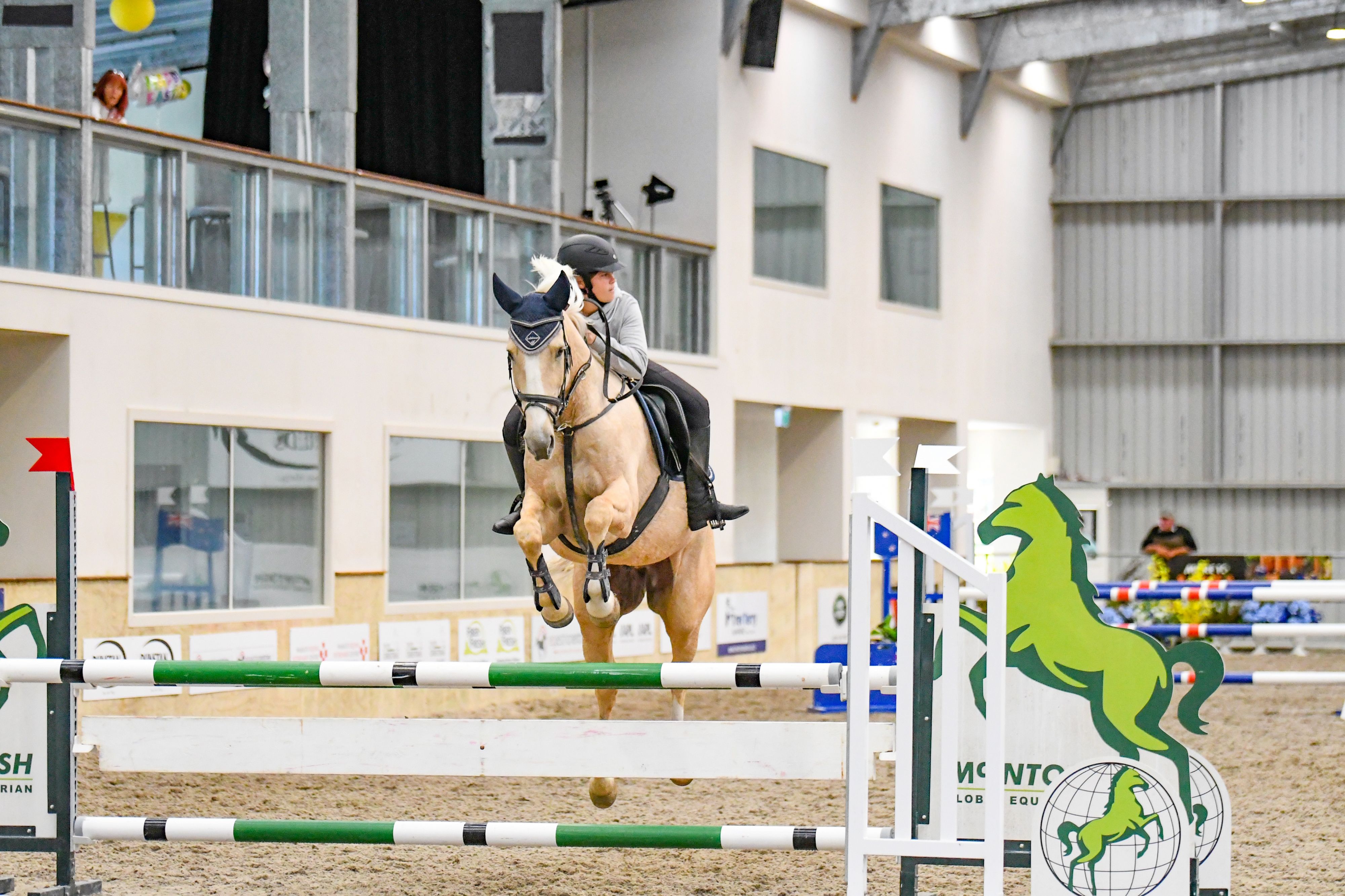 Horse for sale Stunning Eventer