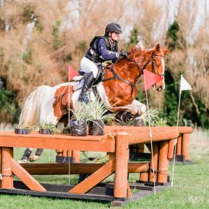Horse for sale: Lovely natured, gorgeous and fun Mare 