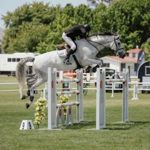 Dynavyte Corysian Ego Z 