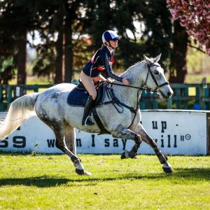 Competitive Allrounder