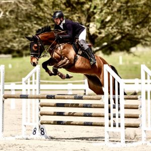Exceptional 5-Year-Old Gelding With Unlimited Potential