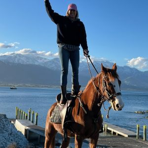 Horse for sale: Jameson on Ice - Allrounder