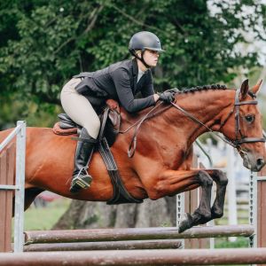 Horse for sale: Competitive Versatile Hack