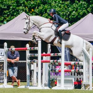  Tremendous opportunity to purchase a Grand Prix competitor / School master.