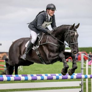 Horse for sale: Exceptional All-rounder Mare 