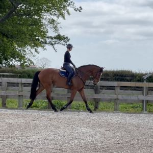 JR/YR/Pro-Am with Raw Potential 