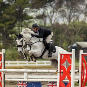 Am/ProAm/Jr/YR Horse 