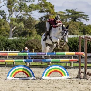 Am/ProAm/Jr/YR Horse 