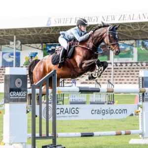 Horse for sale: Outstanding Young Rider horse
