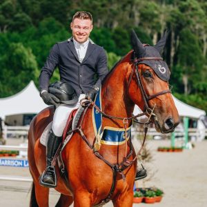 Horse for sale: Exciting 5yo