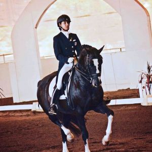 Horse for sale: Don Virgo