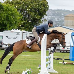 Horse for sale: PHS KHLOE