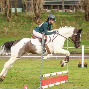 Gorgeous Quiet Allrounder