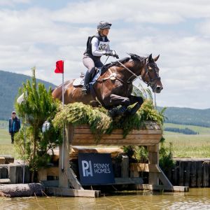 Horse for sale: Competitive 3* eventer 
