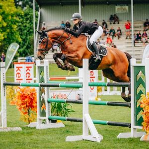 Horse for sale: Corpaccio Xtreme