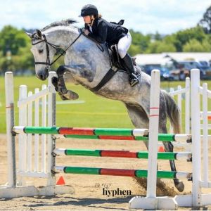 Horse for sale: 5 Year Old Centalake