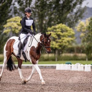 Gorgeous all rounder 