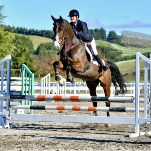 Future Top Sport Horse