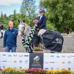 Horse for sale: Outstanding show hunter