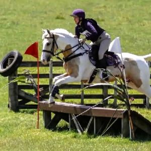 VERSATILE YOUNG HORSE WITH A GREAT FUTURE