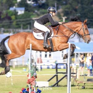 Horse for sale: Easy As Whole Package- Charisma, Character, Competitive 