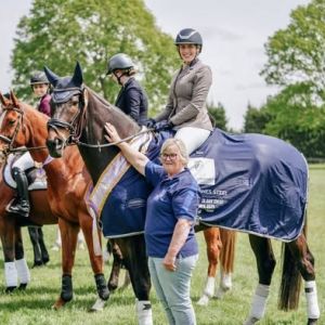 Horse for sale: Contemplation