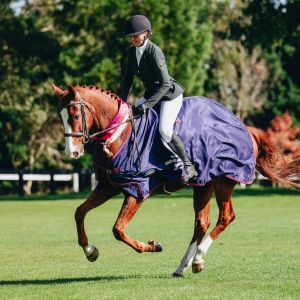 Horse for sale: YOUNG HORSE WITH A BIG FUTURE