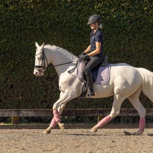 Eye-Catching 4 Year Old Cremello Mare