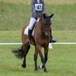 Heart and Work Ethic - a true gentlemen