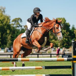 Perfect First Hack/JR Mount