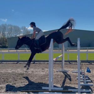 Exciting Mare!