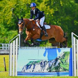 Horse for sale: DOUBLE J BARMAN 