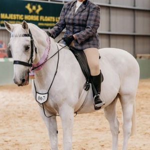 Horse for sale: My Stormchaser 