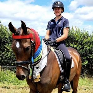 Horse for sale: Beautiful Riding / Pony Arab x