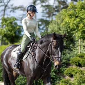 Horse for sale: Bold Hunter/ All Rounder