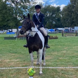 SH Ladies Mount/Allrounder