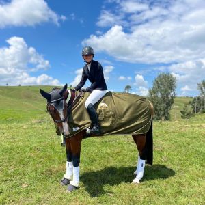 EYE CATCHING SH/SJ WARMBLOOD