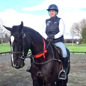 Horse for sale: Future Dressage Star