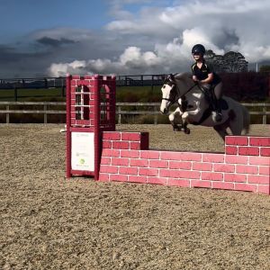 Horse for sale: Mothers dream pony with potential!