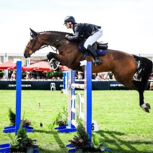 ULTIMATE YOUNG RIDER HORSE