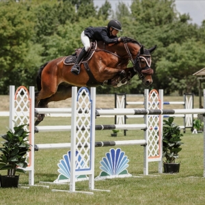 Young Horse Champs Crowned in Hawke’s Bay   