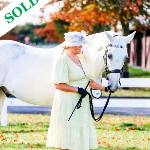 RECENTLY SOLD