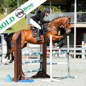 RECENTLY SOLD