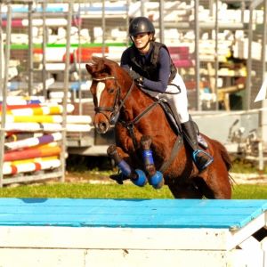 Eye Catching Ultimate Allrounder 