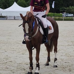 Exciting competiton potential!