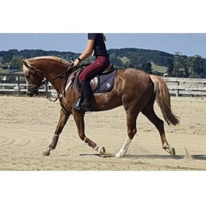 Exciting competiton potential!