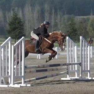 Competitive all-round potential ready to get out!